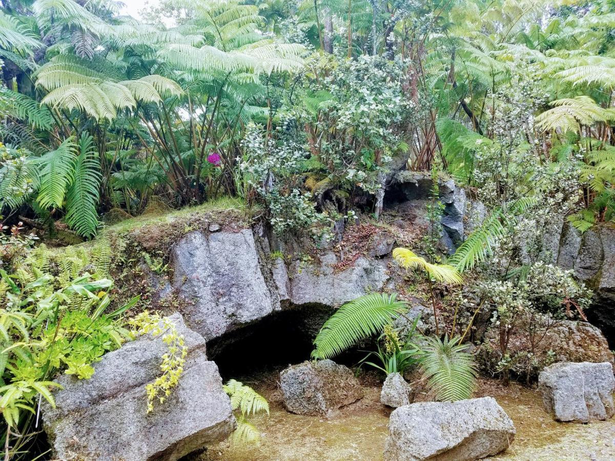 'Ama'u Lani Cottage Volcano Esterno foto